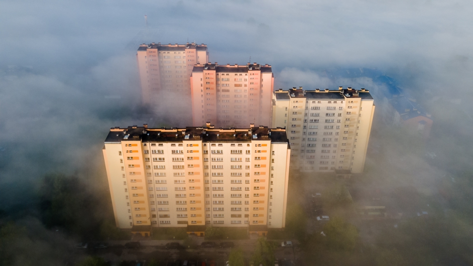 Stoodi - . . Zdjęcie 292658