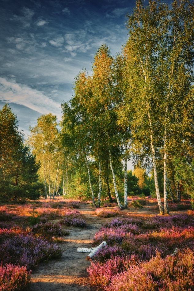 shooter76 - . . Zdjęcie 306553