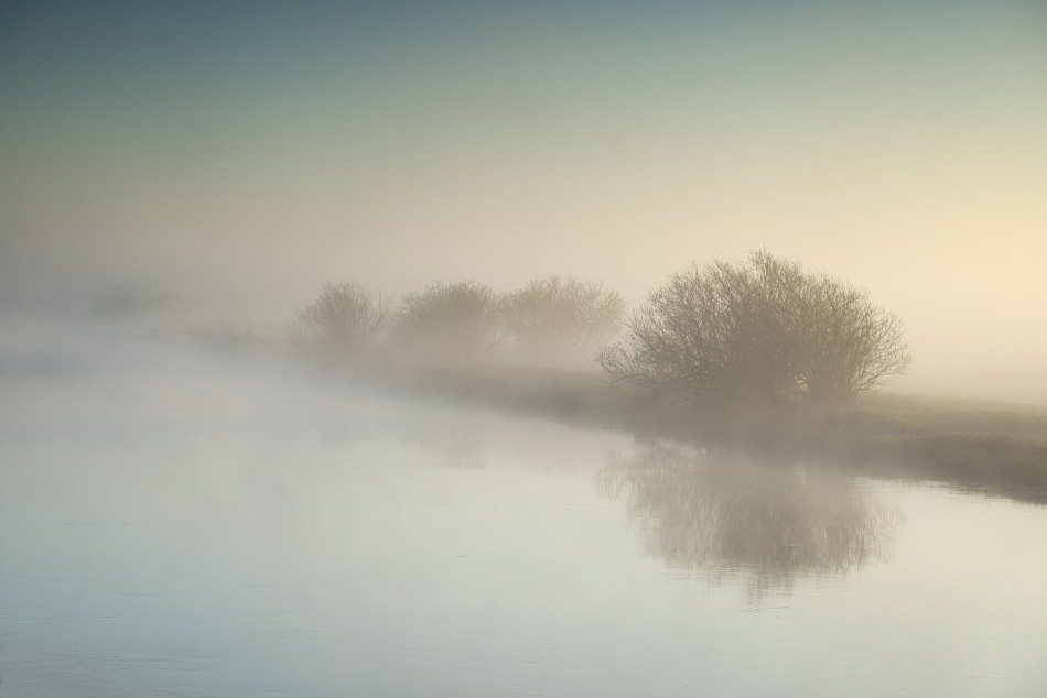 Zapach Biebrzy o poranku. . Zdjęcie 339973