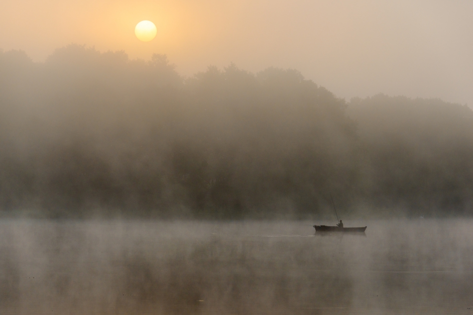fotoel - . . Zdjęcie 125901