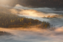 A Touch Of Light
