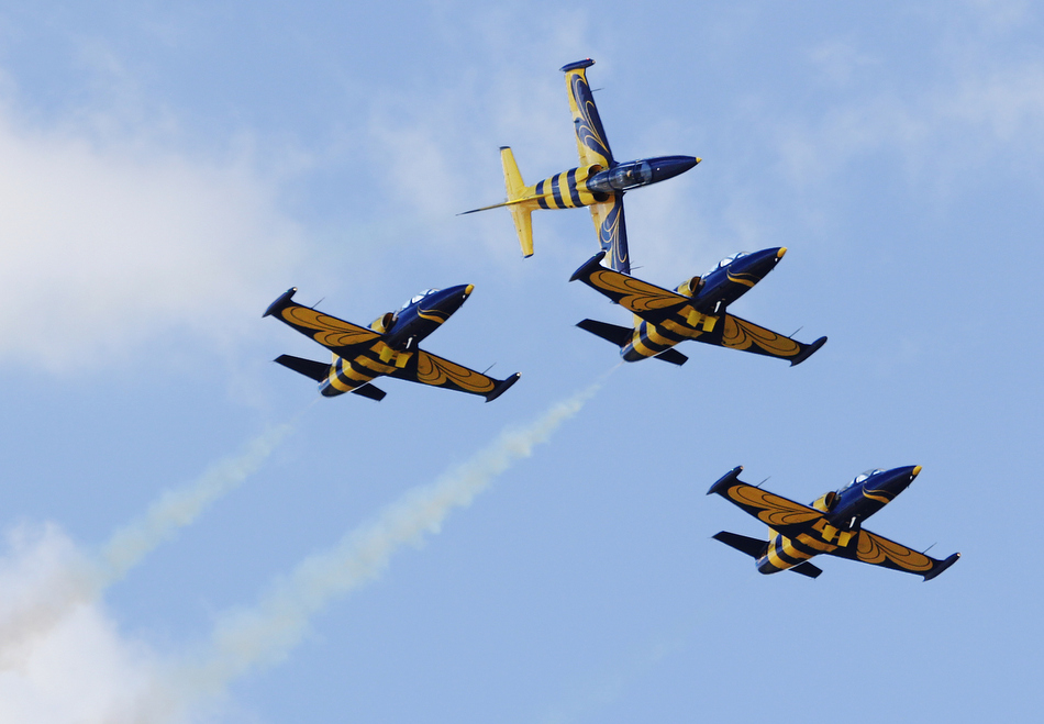 ktosiu - Baltic Bees. . Zdjęcie 100981