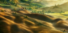 Farm...
