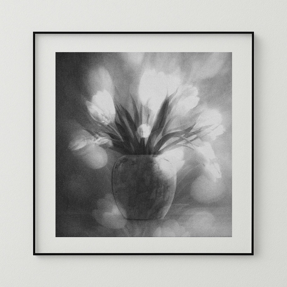 Pink Tulip Whispers. . Zdjęcie 336935