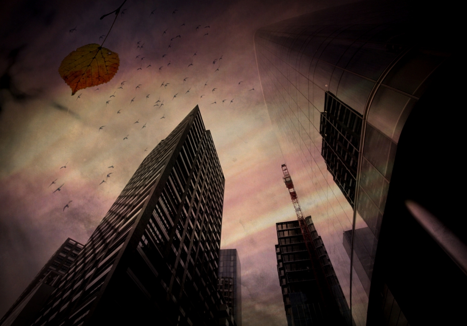 Jesień w City.... . Zdjęcie 293269