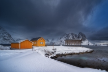YELLOW FISHER'S HOUSE