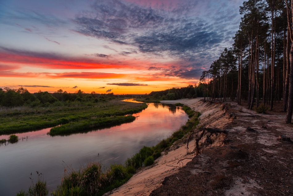 radson_foto - . . Zdjęcie 332983
