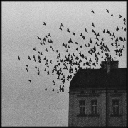 ..zryw...