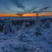 Winter Memories