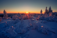 The Sun Comes Up.
