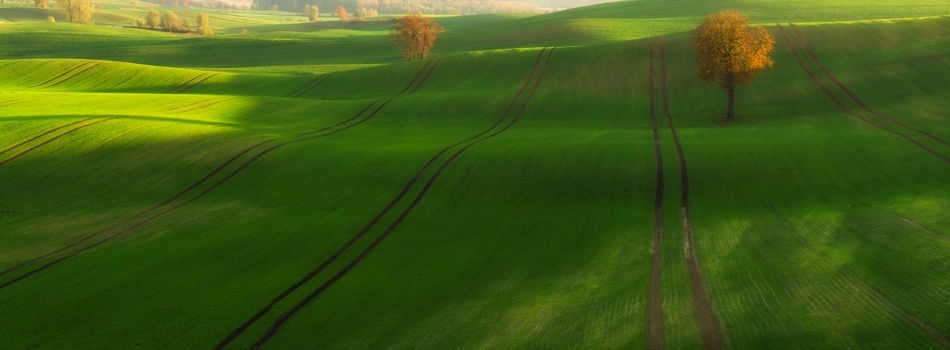 pablo77 - Jesiennie. Panorama z sześciu pionowych kadrów. Zdjęcie 308261