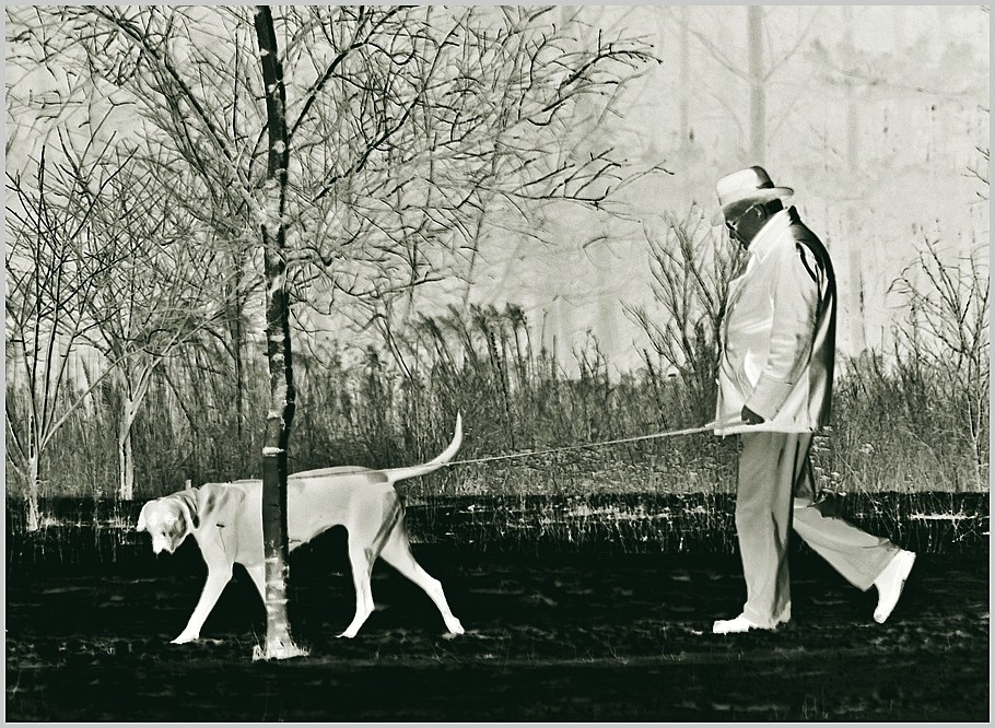 Spacer z psem . . Zdjęcie 339474