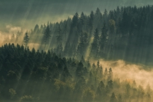 The Bright Sunrise