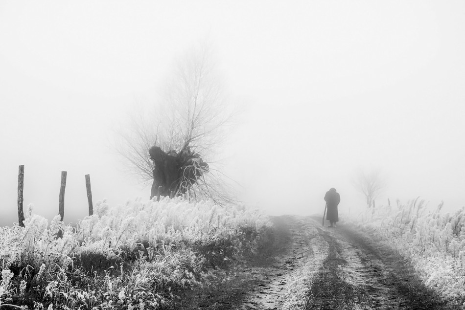 Dopóki sił. . Zdjęcie 339065