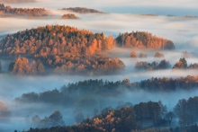 For the Love of Autumn...