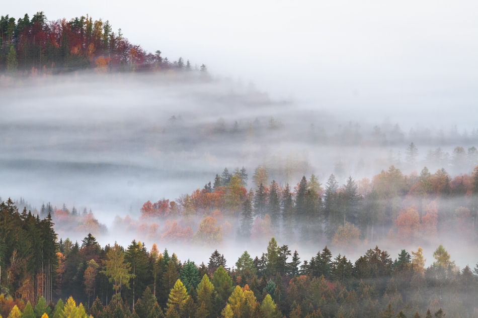 bonnieandclyde - The Land of Morning Mists.... . Zdjęcie 330575