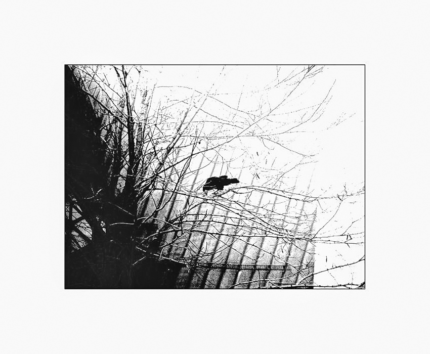 akci - Fantasmagoria. . Zdjęcie 38405