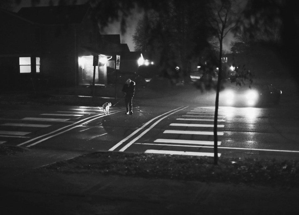 leo5 - . . Zdjęcie 320024