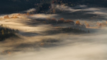 A Colour of Light III...