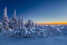 A Winter's Tale.....