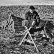 Sezon na trzcinę rozpoc...