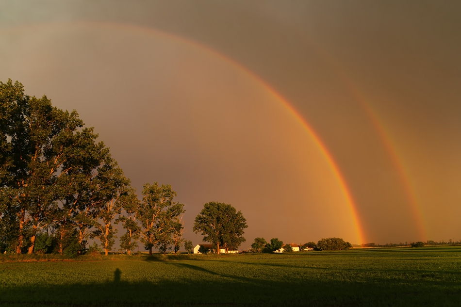 janish - . . Zdjęcie 263123