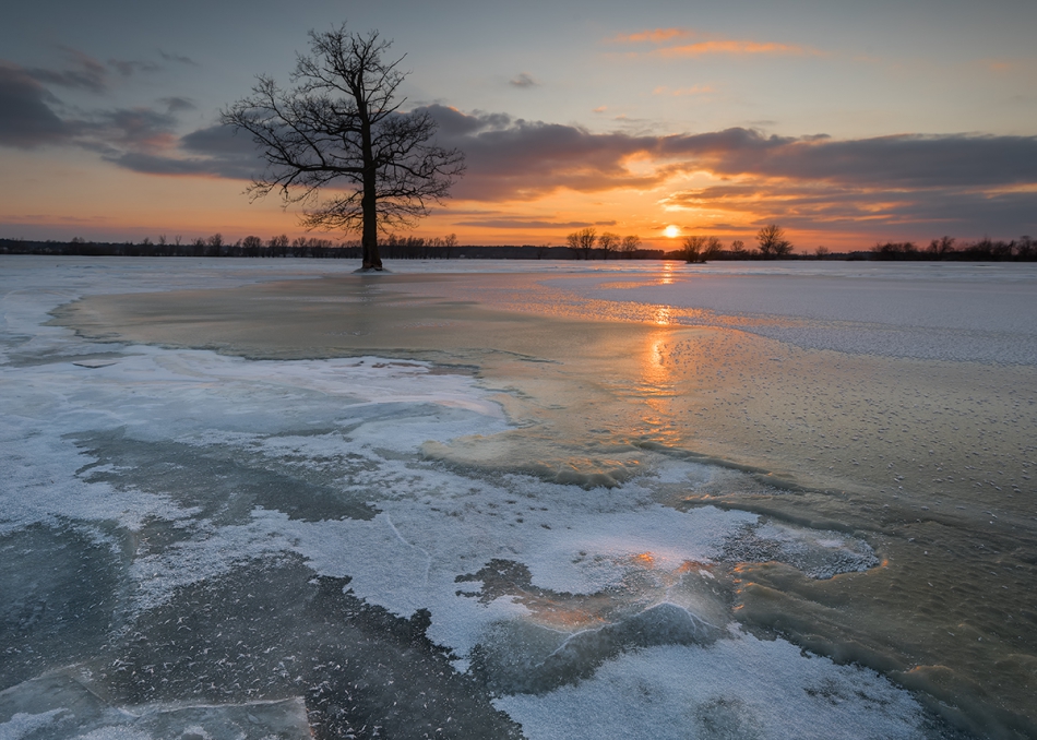Brak tytułu. . Zdjęcie 215212