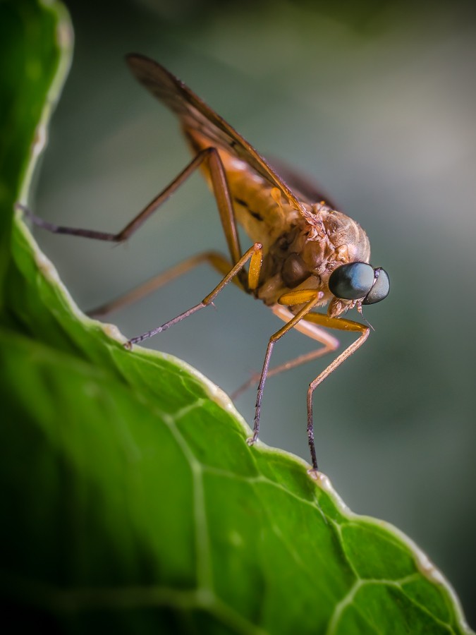 0;0. . Zdjęcie 339217