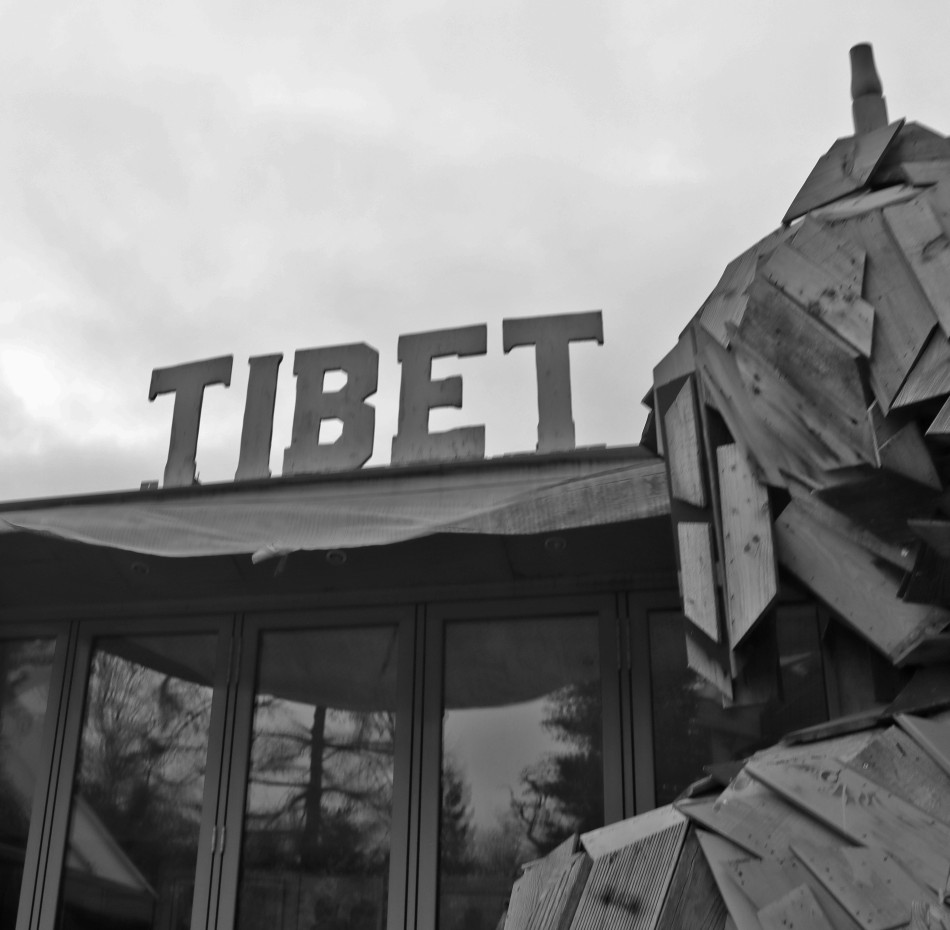 nowikowa - Tibet Alive. . Zdjęcie 338206