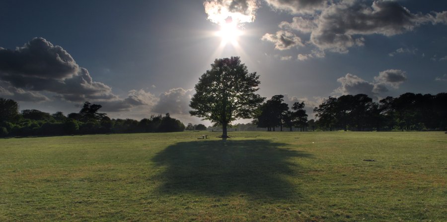 sirpiotr - Drzewo. Zlepione z dwóch zdjęć, zrobione Canonem Powershot G11. Niestety nie mialem nasadki z możliwością nałożenia filtrów. Musiałem zastosować metode montażu w PS.. Zdjęcie 26663
