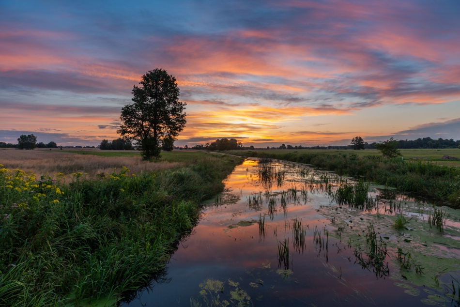 radson_foto - Wschód. Rzeka Wolbórka. Wieś Chorzęcin (woj. łódzkie). . Zdjęcie 316774