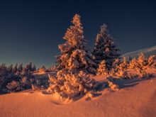 Winter View.