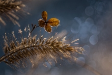 Wspomnienia o lecie 