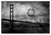 San Covid Bridge...