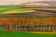 Morawy