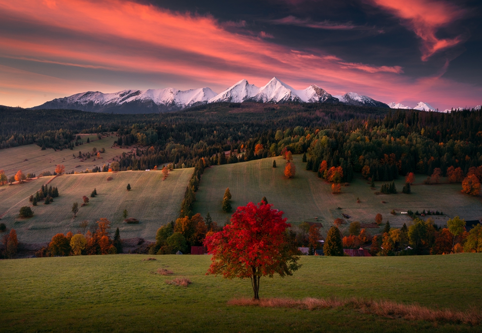 karol_nienartowicz - Tatry. Słowacja. Zdjęcie 310718