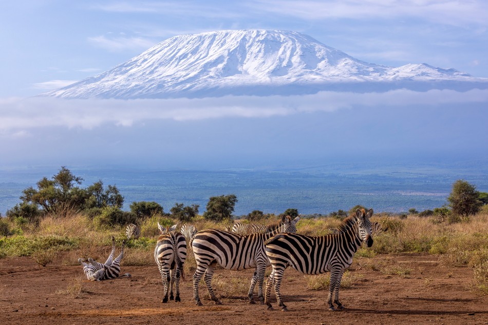 U stóp wielkiej góry.. . Zdjęcie 338387