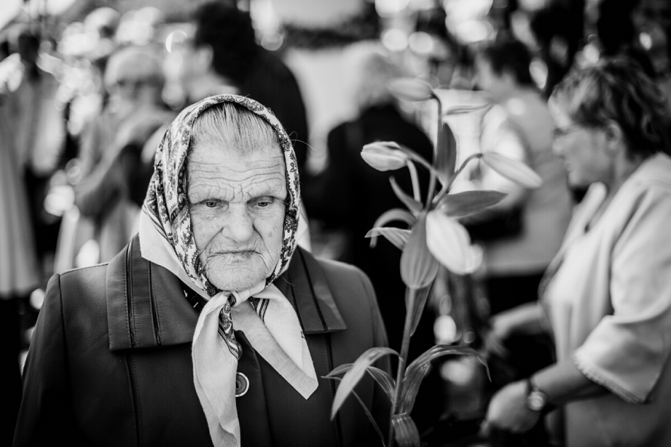 fotografandrzej333 - . . Zdjęcie 184754