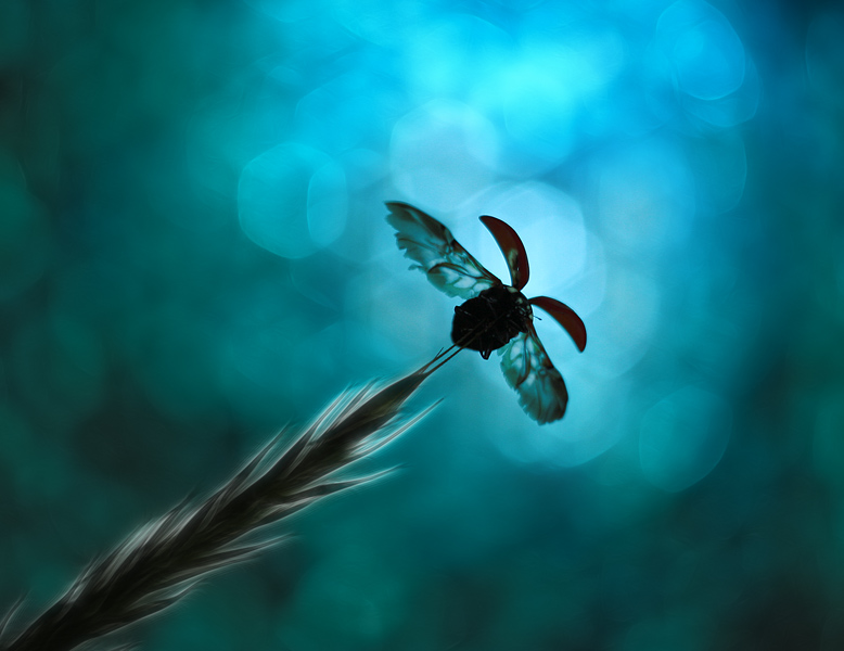 bluejeans - W drogę.. . Zdjęcie 110226