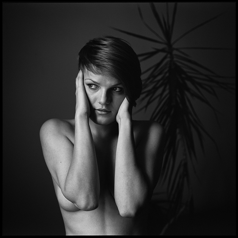 dzikie_wino - . . Zdjęcie 122819