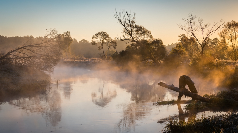przemczan - Nad Wartą. Mroźny październikowy poranek nad rzeką Wartą. Standardowo: trzeba wstać rano i się namarznąć, ale zdobyte fotki wszystko wynagradzają.. Zdjęcie 254066