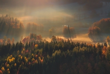 When Autumn Shines a Go...