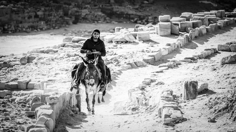 *. . Zdjęcie 339167