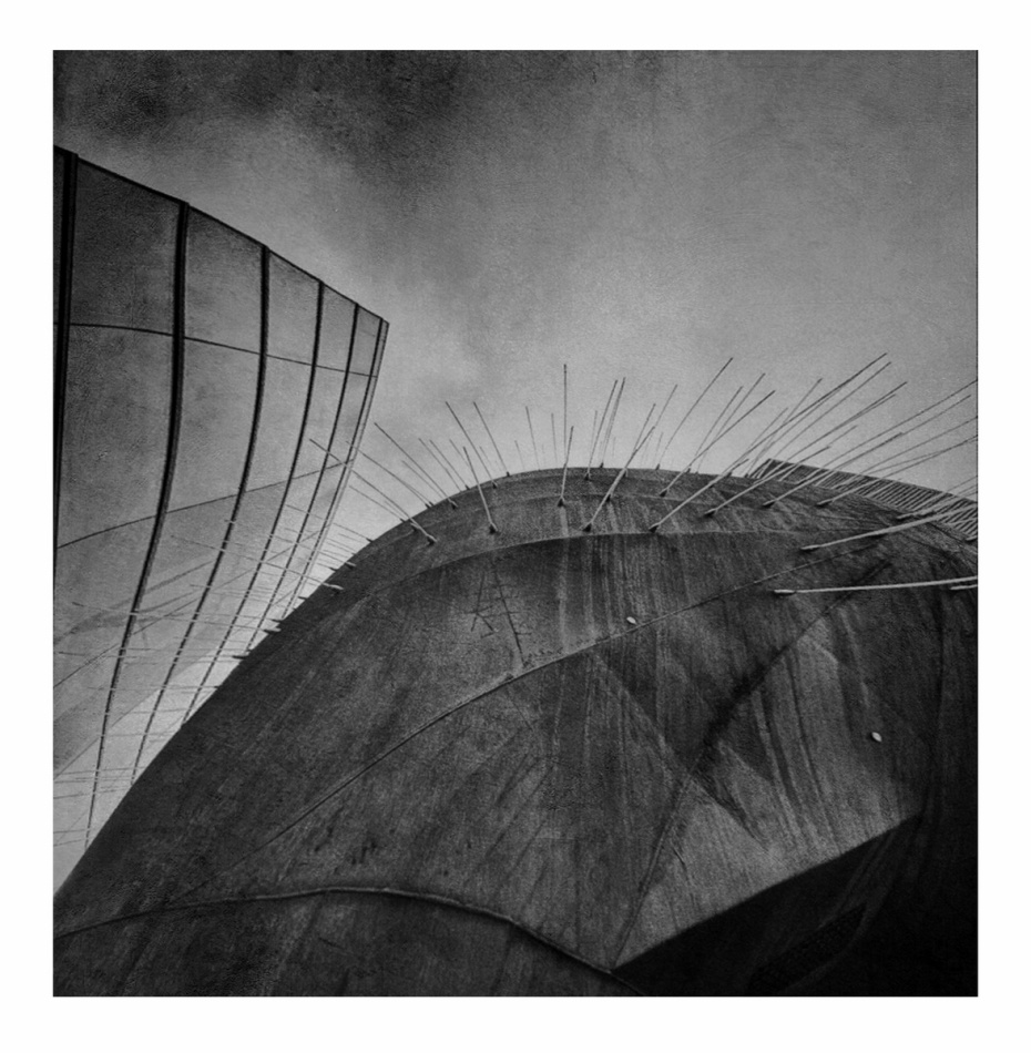 Jeż . . Zdjęcie 337187