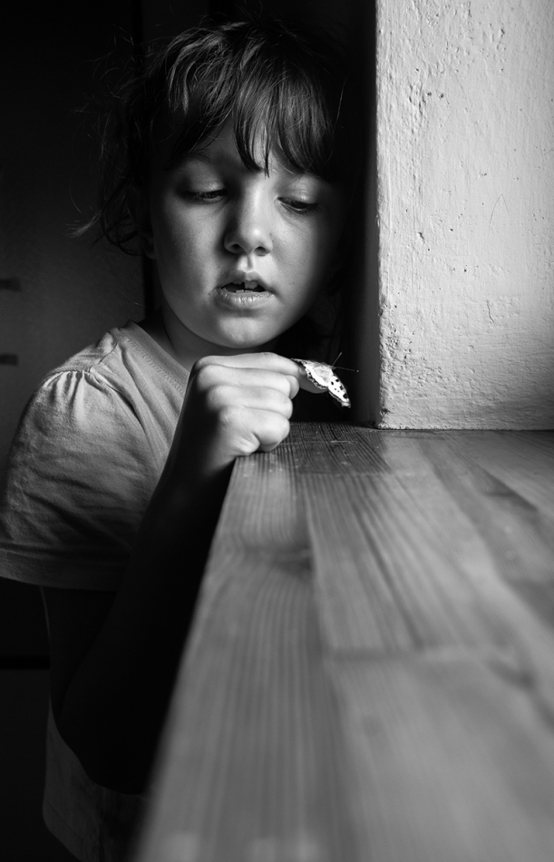 mist81 - motyl. . Zdjęcie 224182