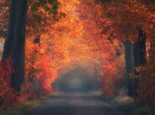 Jesienny tunel