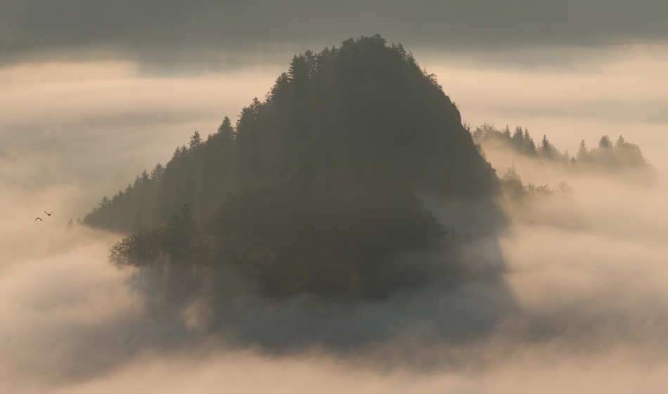 master95 - Island. Zapraszam na PE :). Zdjęcie 198123