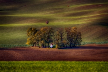 Morawski klasyk