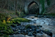 Mystery gate