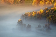 The Land of Morning Mis...